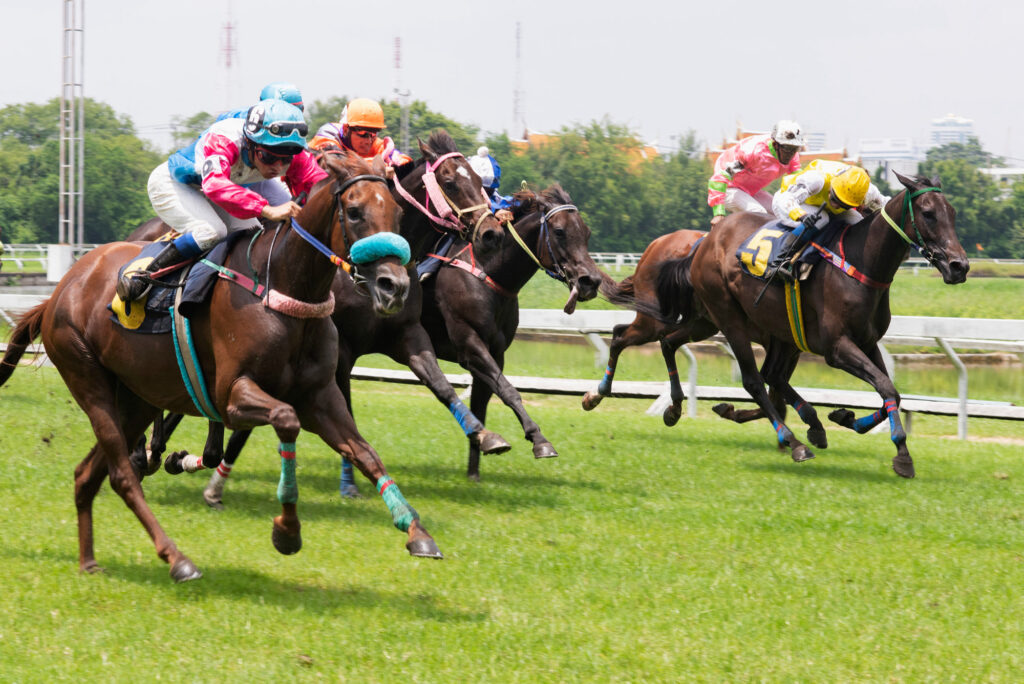 Master the secrets of successful horse racing and emerge victorious.
