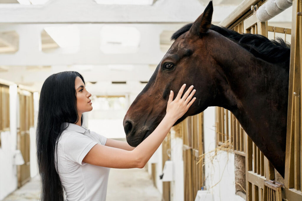 Good endurance horses hold the secrets to successful horse racing.