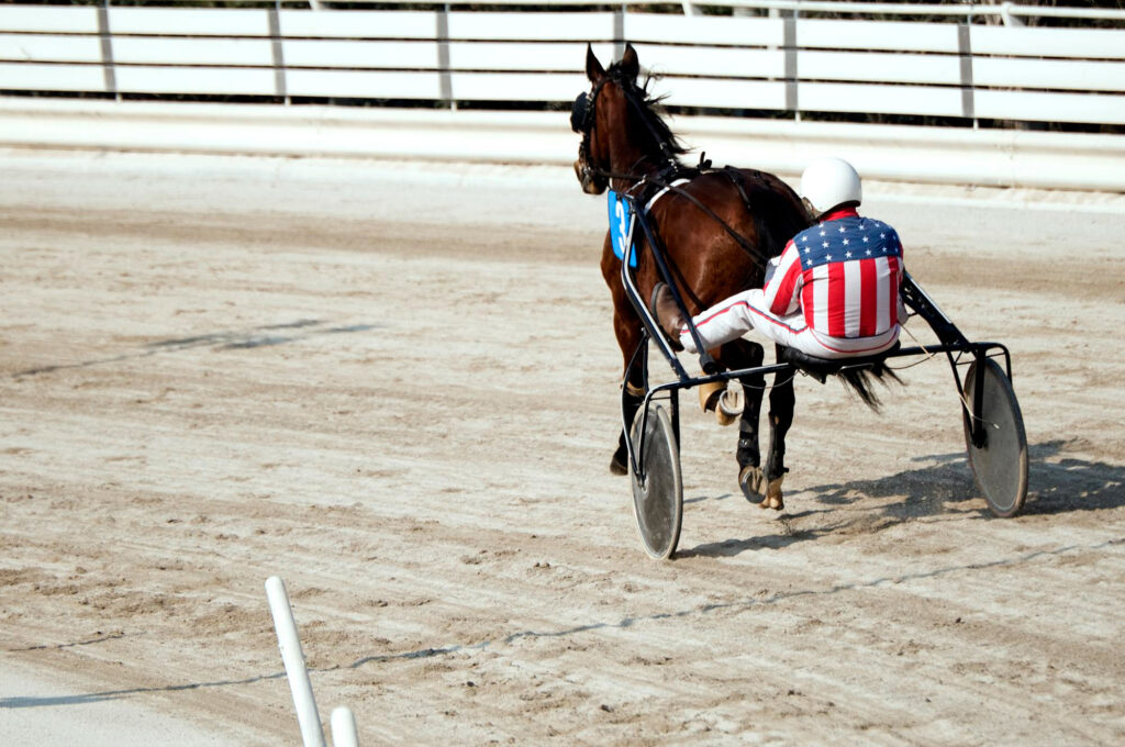 Harness racing is a thrilling form of equestrian competition.
