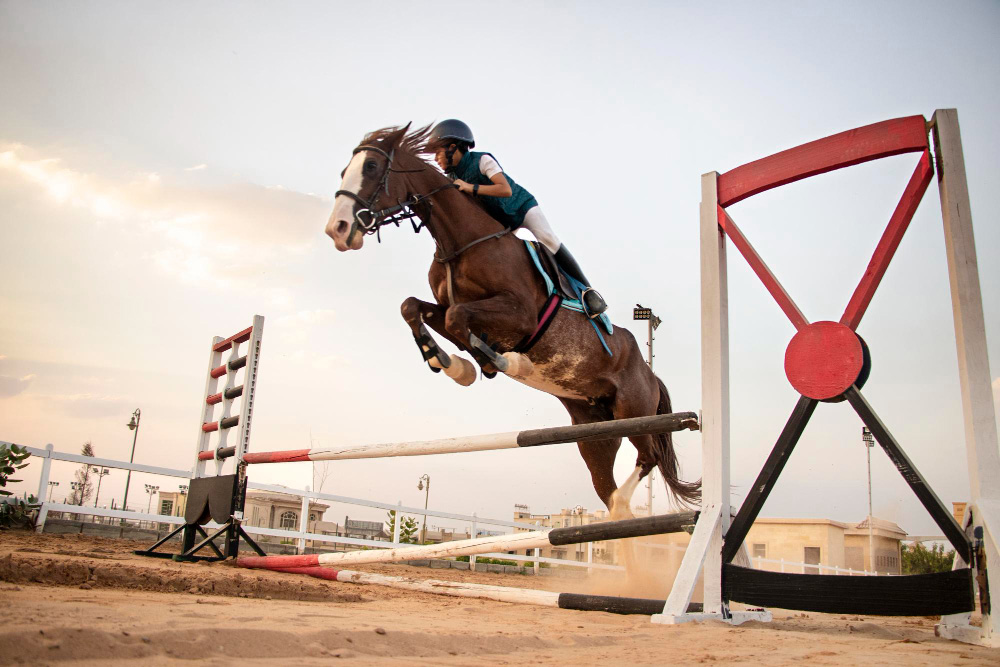 Steeplechase racing is known for its exhilarating jumps and obstacles.
