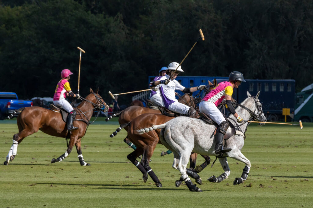 Polo is an exhilarating sport that combines horsemanship and strategy.