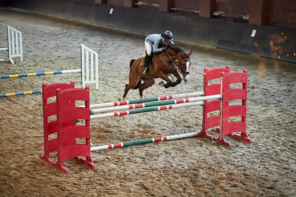 Show jumping requires precision and agility from both horse and rider.
