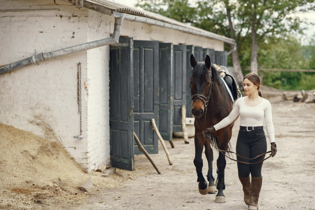 Ensuring horse welfare is crucial for their health and well-being.