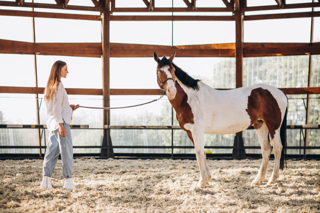 Regularly assess your horse's fitness level to ensure optimal performance.
