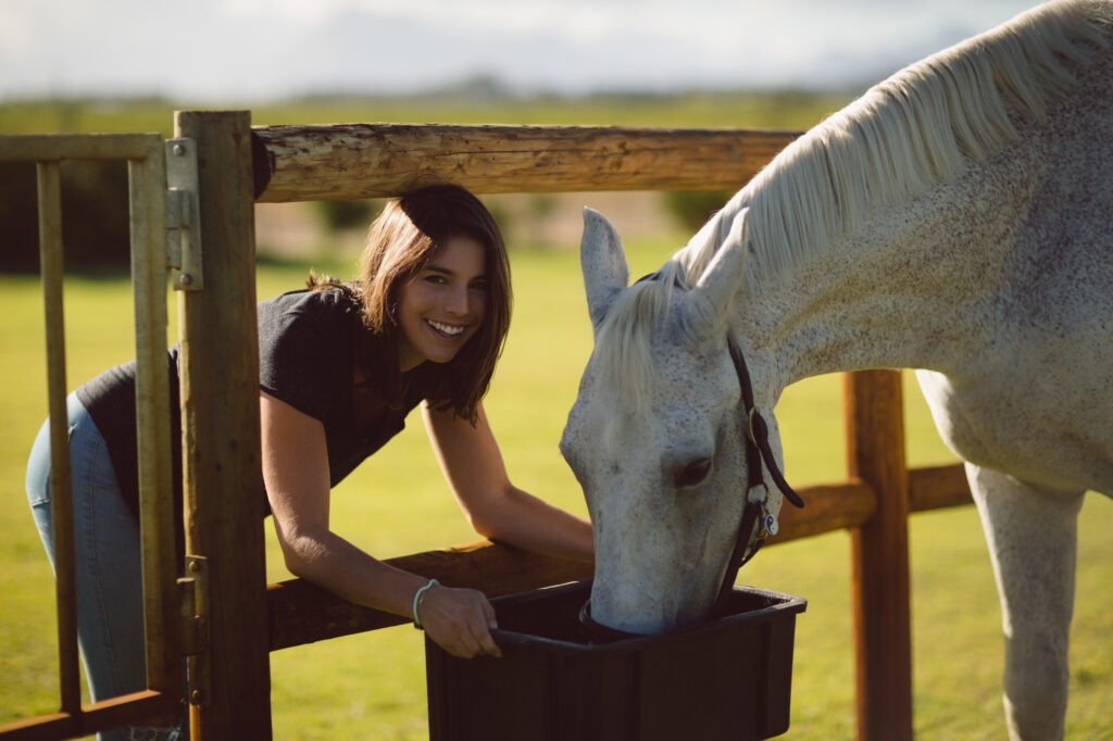 Proper nutrition and hydration are crucial for your horse's well-being.